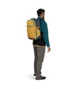Kuprinė  Osprey Daylite Travel Pack 35