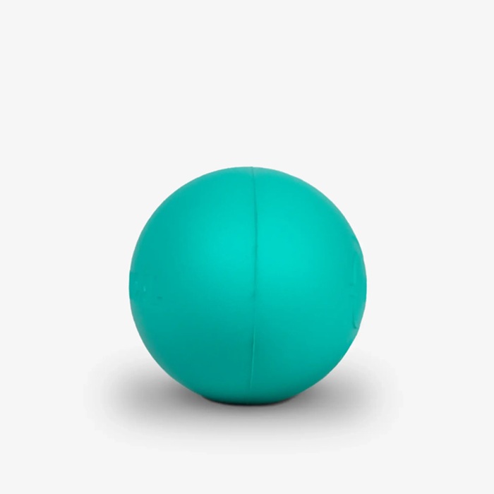Treniruoklis  YY Vertical EGG
