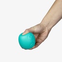Treniruoklis  YY Vertical EGG