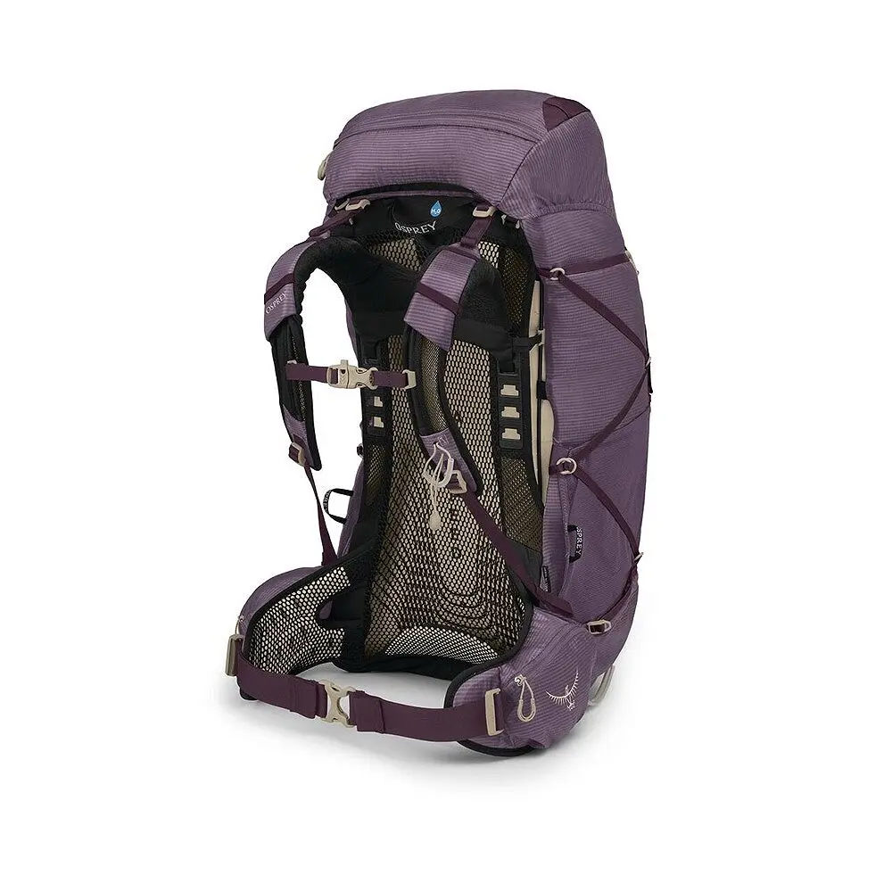 eja58_s25_sideback_purpledusk_1.webp