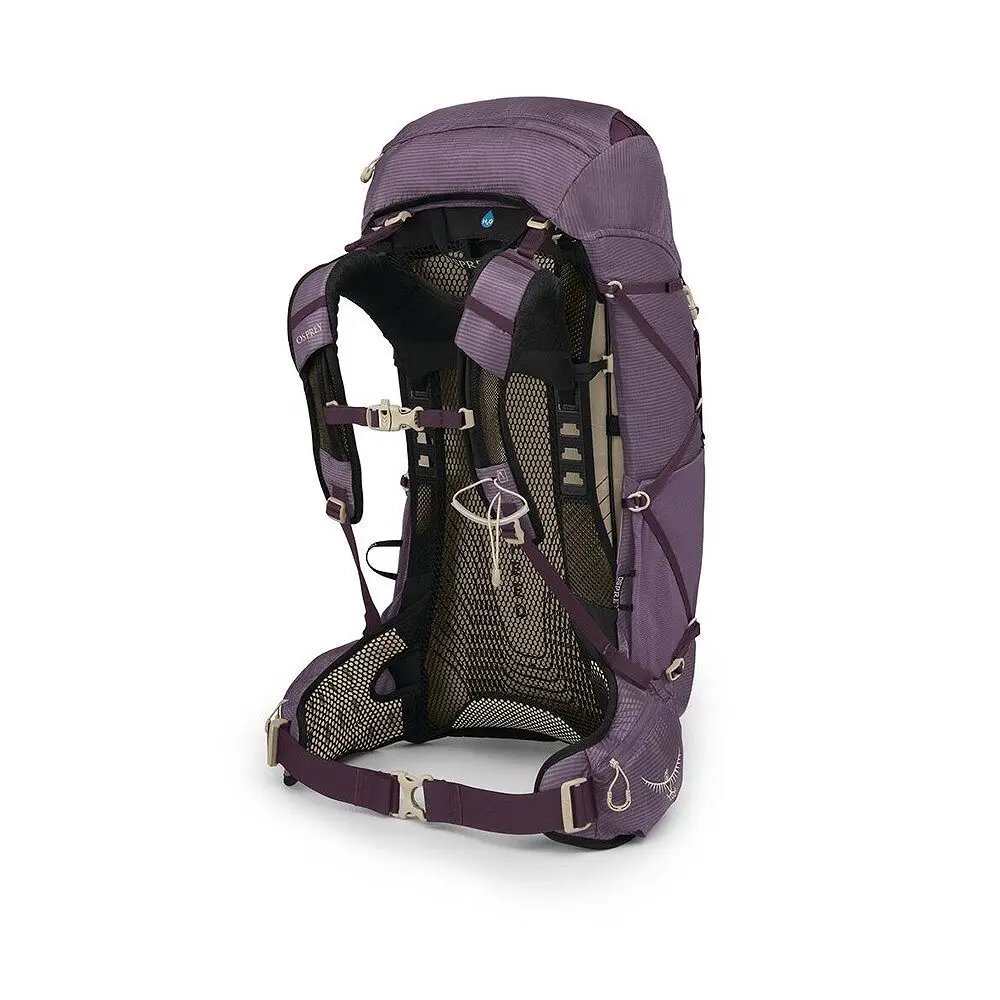 eja38_s25_sideback_purpledusk.webp