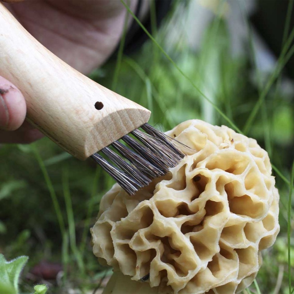 Opinel Mushroom Knife N°8