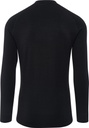 Thermowave Merino Arctic Mens Long Sleeve shirt