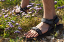 Source Haven Men's