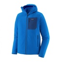 Patagonia M'S R2 TECHFACE HOODY