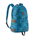 Patagonia IRONWOOD PACK 20L