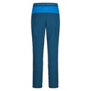 LaSportiva Brush Pant Men