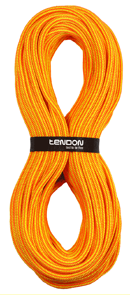 Tendon Timber EVO 11,5