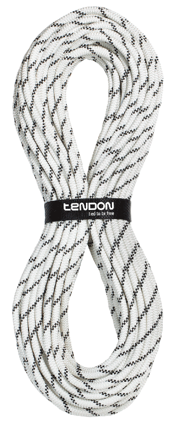 Tendon Static 13