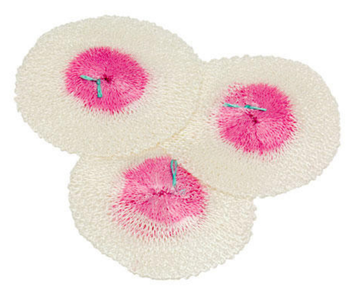 [PRI000026] Primus Mantle 730800 for LP Gas Lanterns 3vnt.