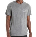 Icebreaker Mens Tech Lite II SS Tee Mountain Sunset