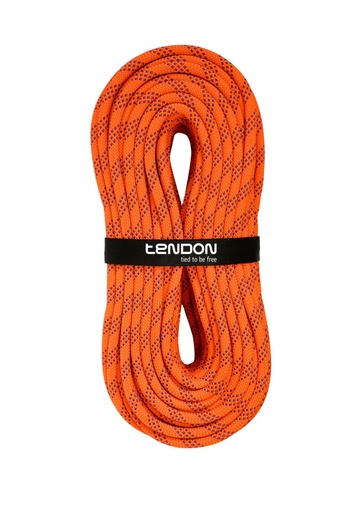 [L110NE43S200R] Tendon eStatic 11 orange