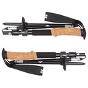 Black Diamond ALPINE FLZ