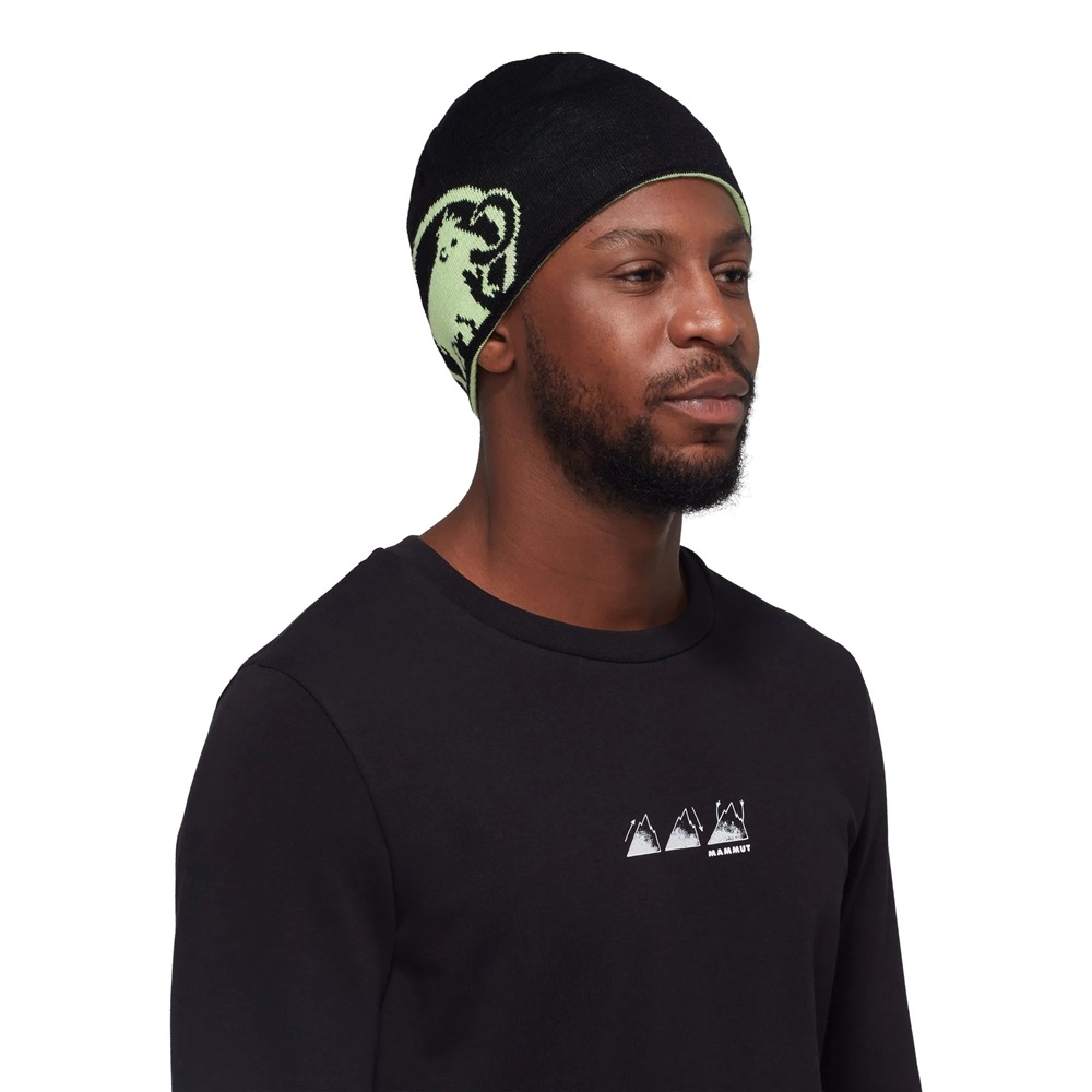 Mammut Mammut Logo Beanie