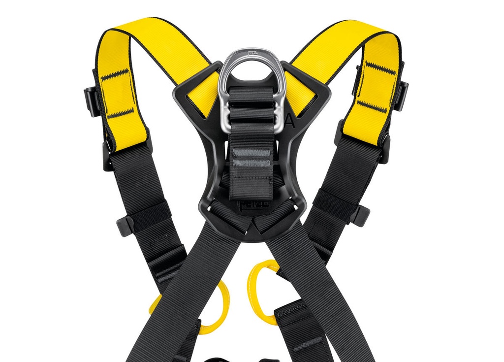 Petzl NEWTON international version