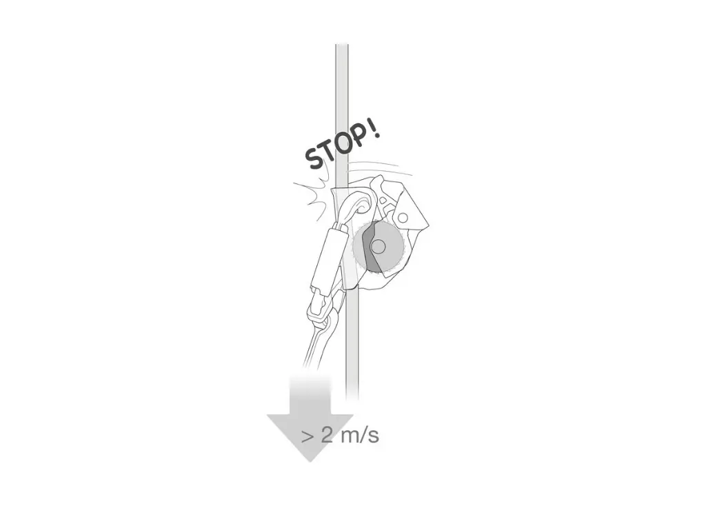 B070AB00-ASAP-focus-2_LowRes.webp