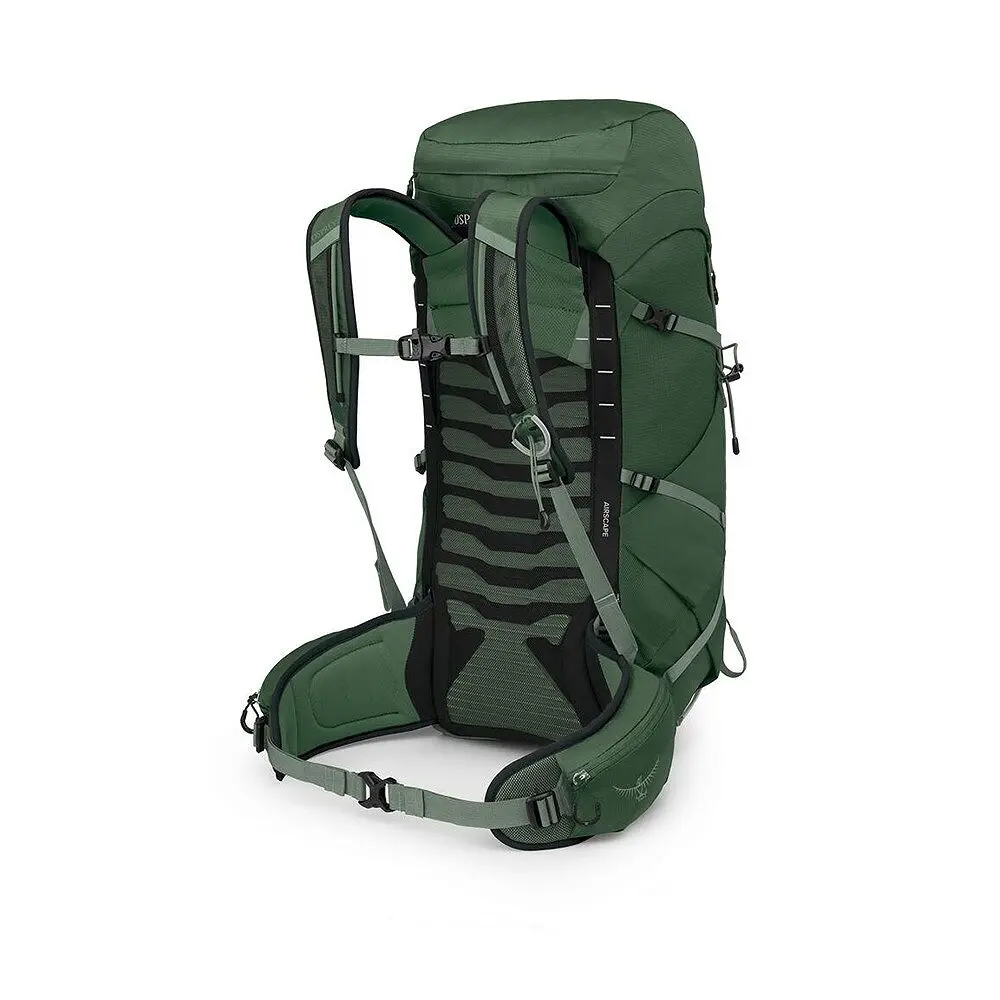 talon33_s25_sideback_greencanopypineleaf_1.webp
