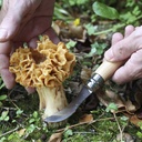 Opinel Mushroom Knife N°8