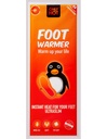 ONLY HOT Foot Warmer