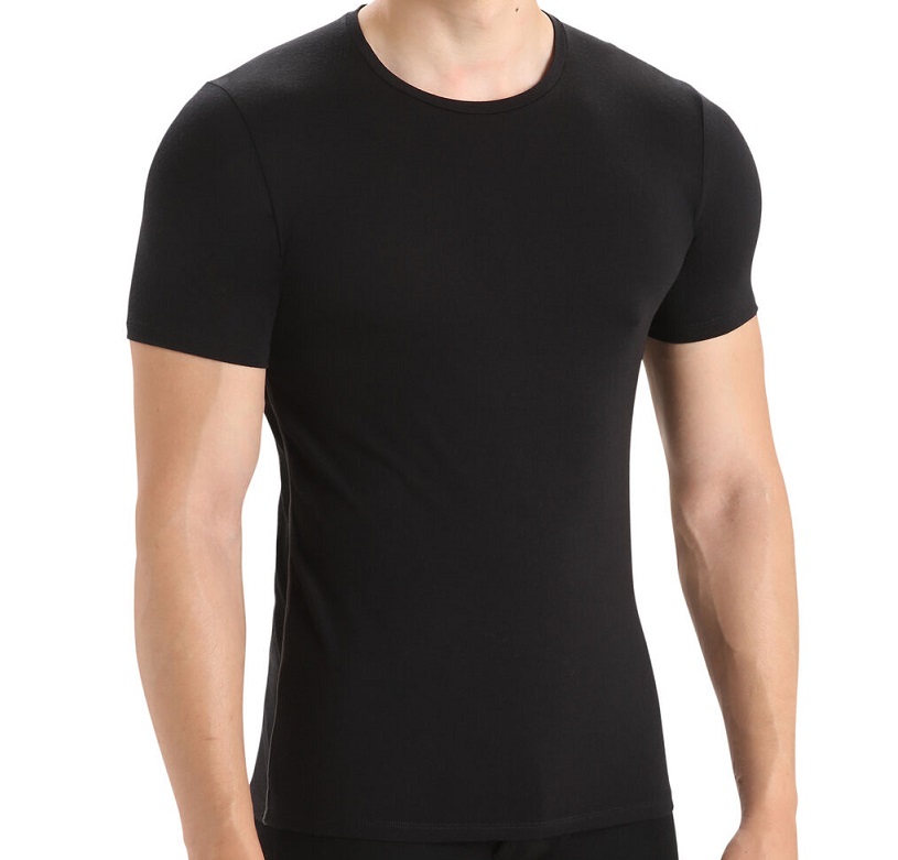 Icebreaker Mens Anatomica SS Crewe