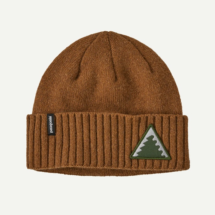 Patagonia Brodeo beanie