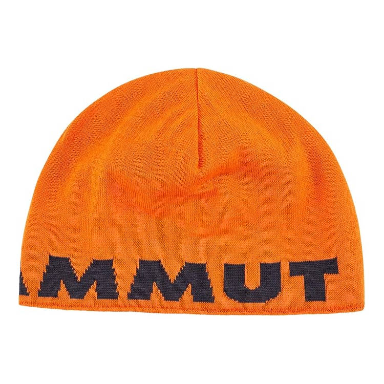 Mammut Mammut Logo Beanie