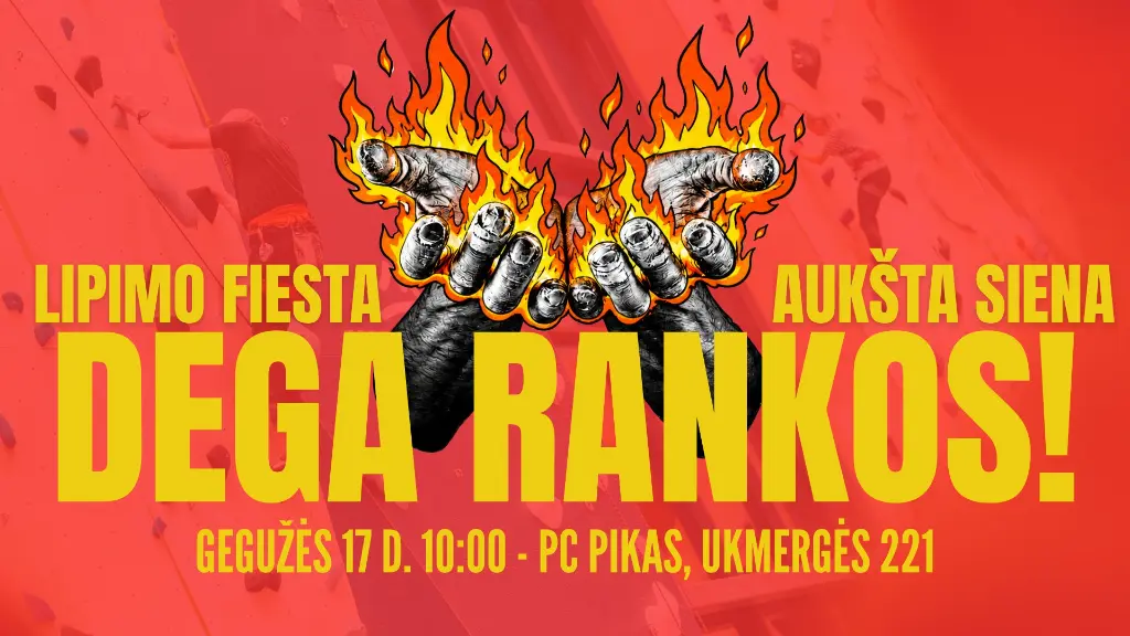 Dega rankos fiesta