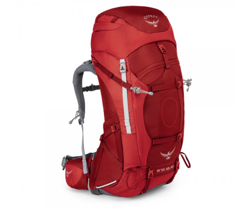 Kuprinė  Osprey Ariel AG 55