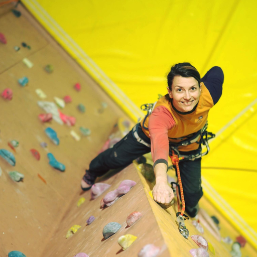 [MM-CLIMB-00001] Asmeninė laipiojimo treniruotė, 1 asmeniui